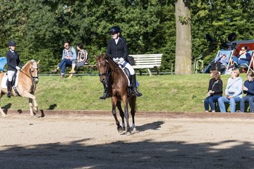 Bild 135 - Pony Akademie Turnier